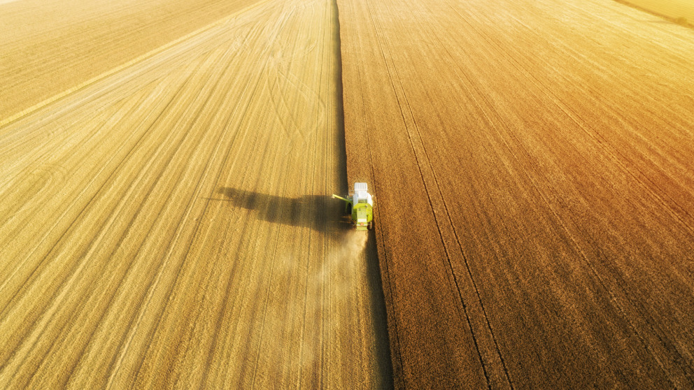 Für die Landwirtschaft bieten Anwendungen der Gentechnologie eine Vielzahl an Chancen und Risiken.